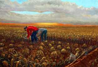 13. El arrozal_312x214