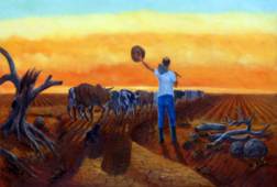 36. Boyero_560x377_252x170