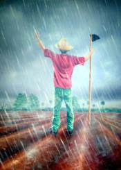 67. Bendita la lluvia_389x544_175x245