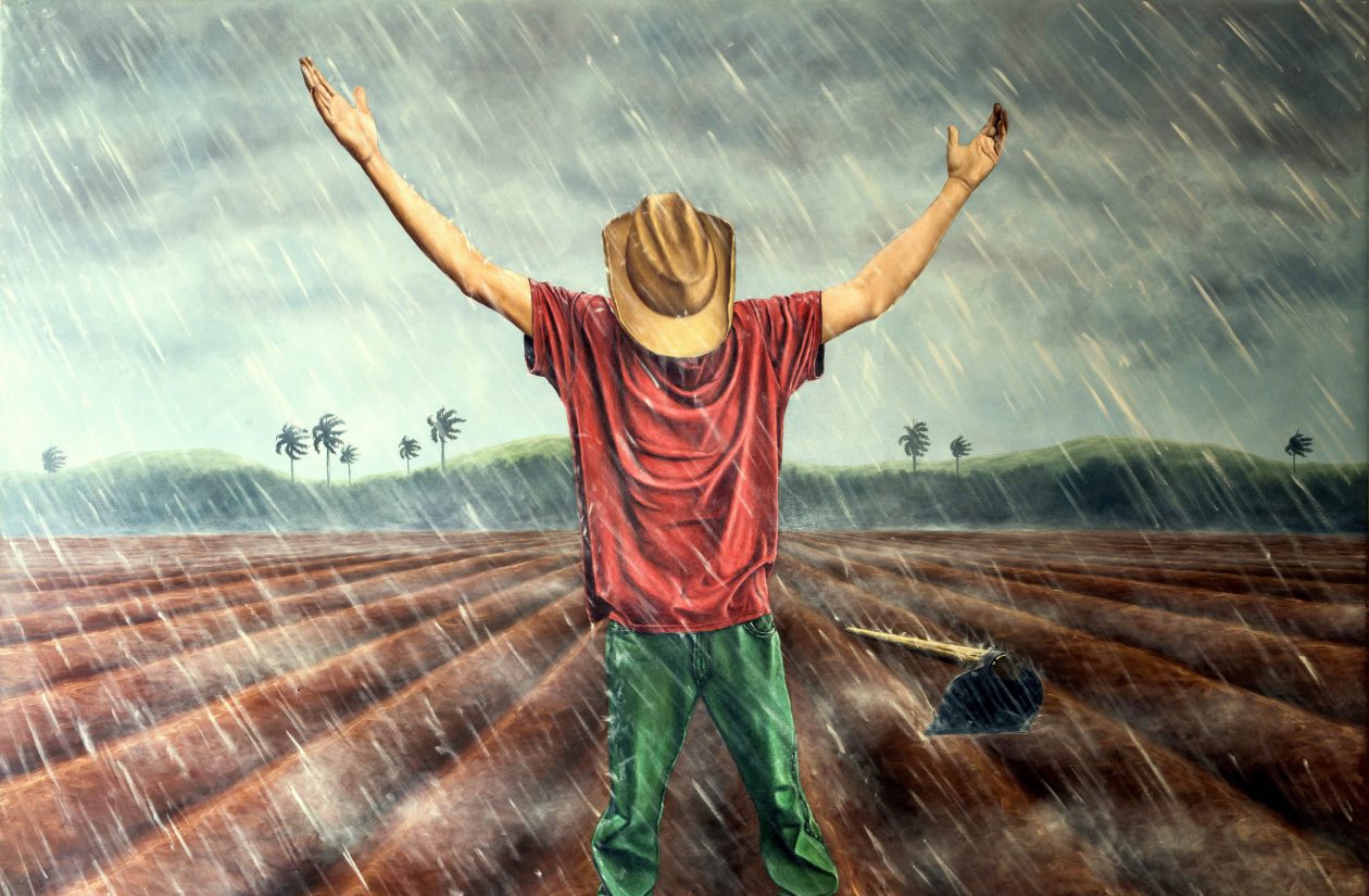 ROGELIO  –  ESTUDIO